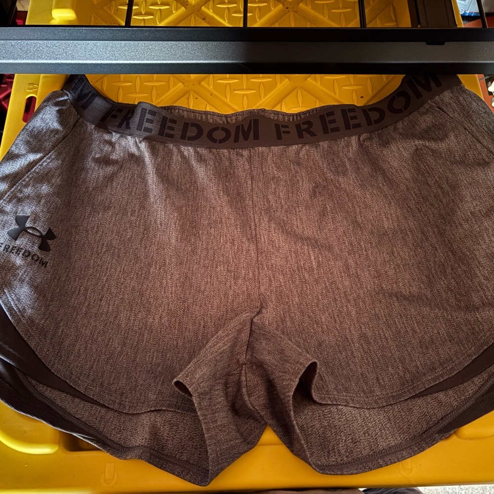 Under Armour Women's Gray Shorts